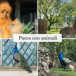 In An 1800s Frescoed With Panoramic Solarium And Historic Park - Mastrangelo Bed and Breakfast Colli del Tronto