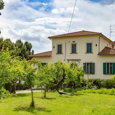 In An 1800s Frescoed With Panoramic Solarium And Historic Park - Mastrangelo Panzió Colli del Tronto