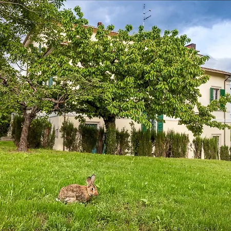 Bed and Breakfast In An 1800s Frescoed With Panoramic Solarium And Historic Park - Mastrangelo Colli del Tronto